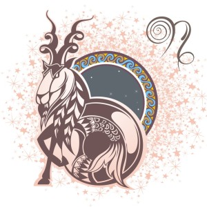 steinbock kennenlernen